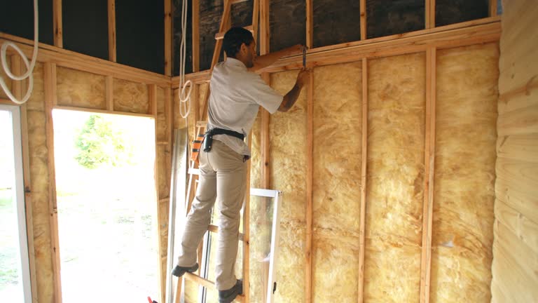 Best Insulation for New Construction  in Springdale, OH